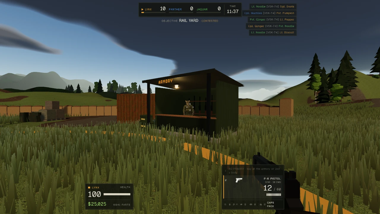 WarCats: a moment in the game (1 of 1)