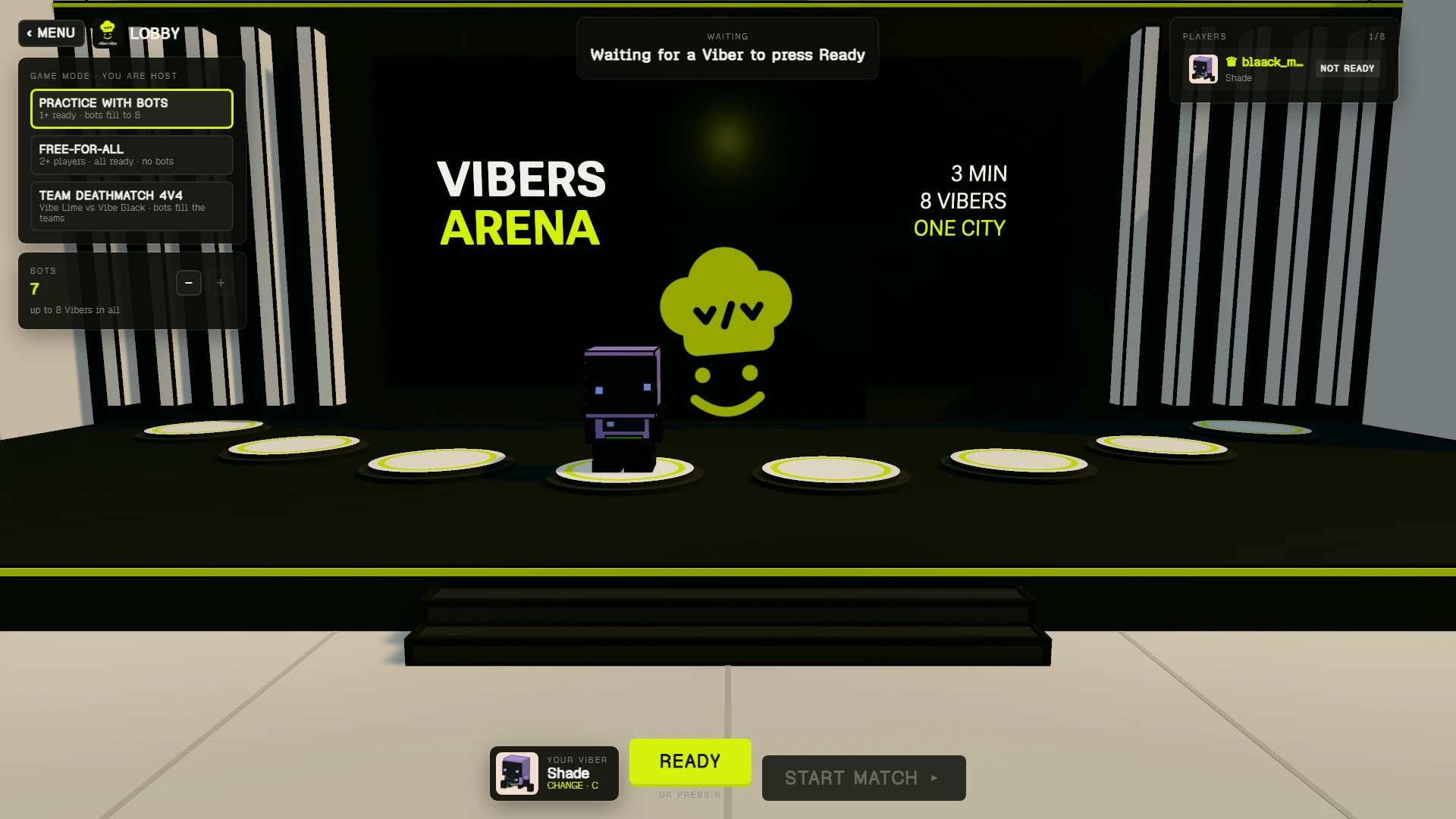 Vibers Arena: a moment in the game (1 of 1)