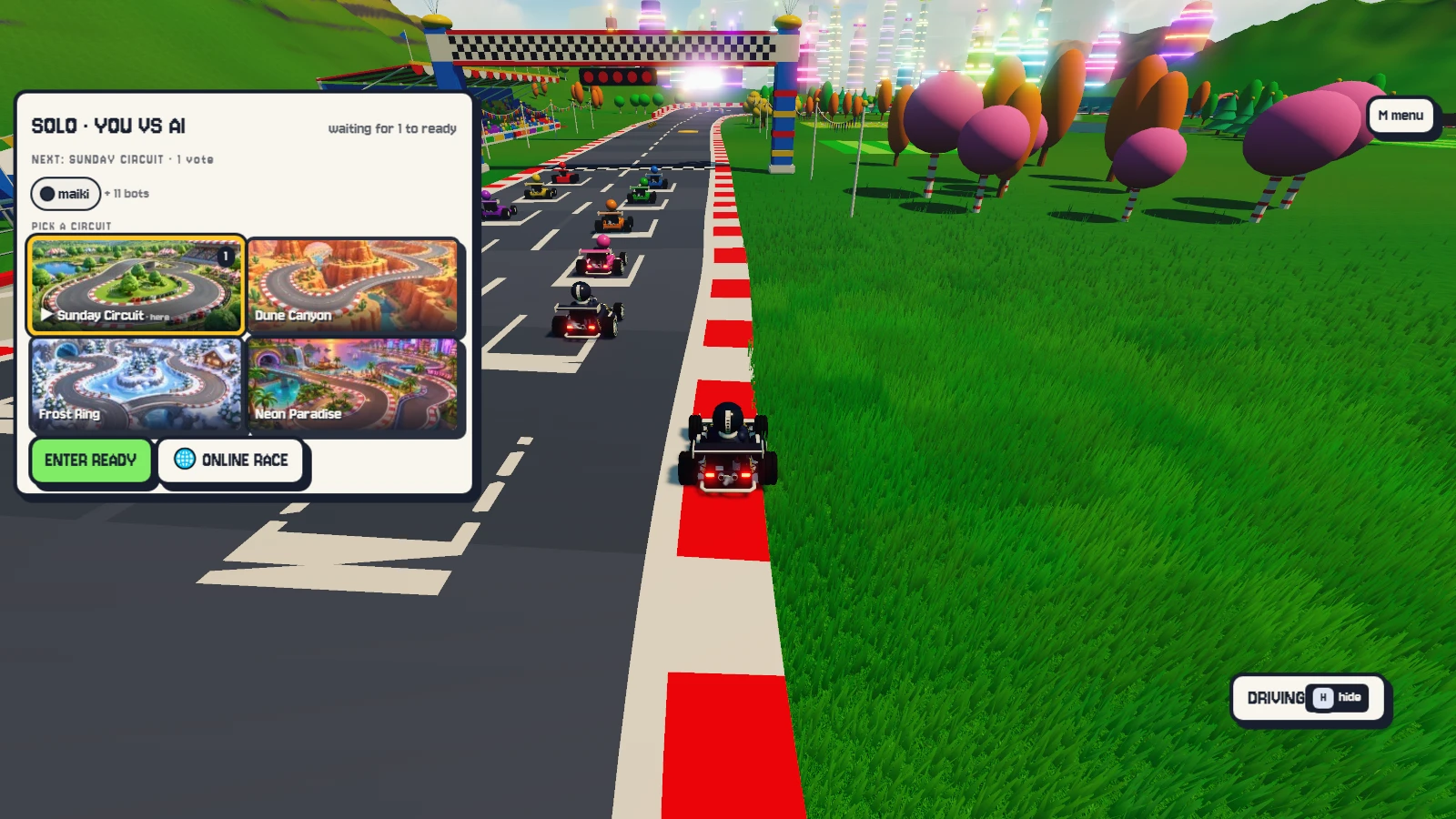 Kart Rush: a moment in the game (1 of 1)