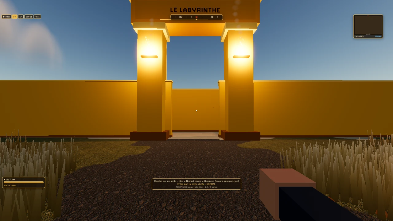 Le Labyrinthe: a moment in the game (2 of 6)
