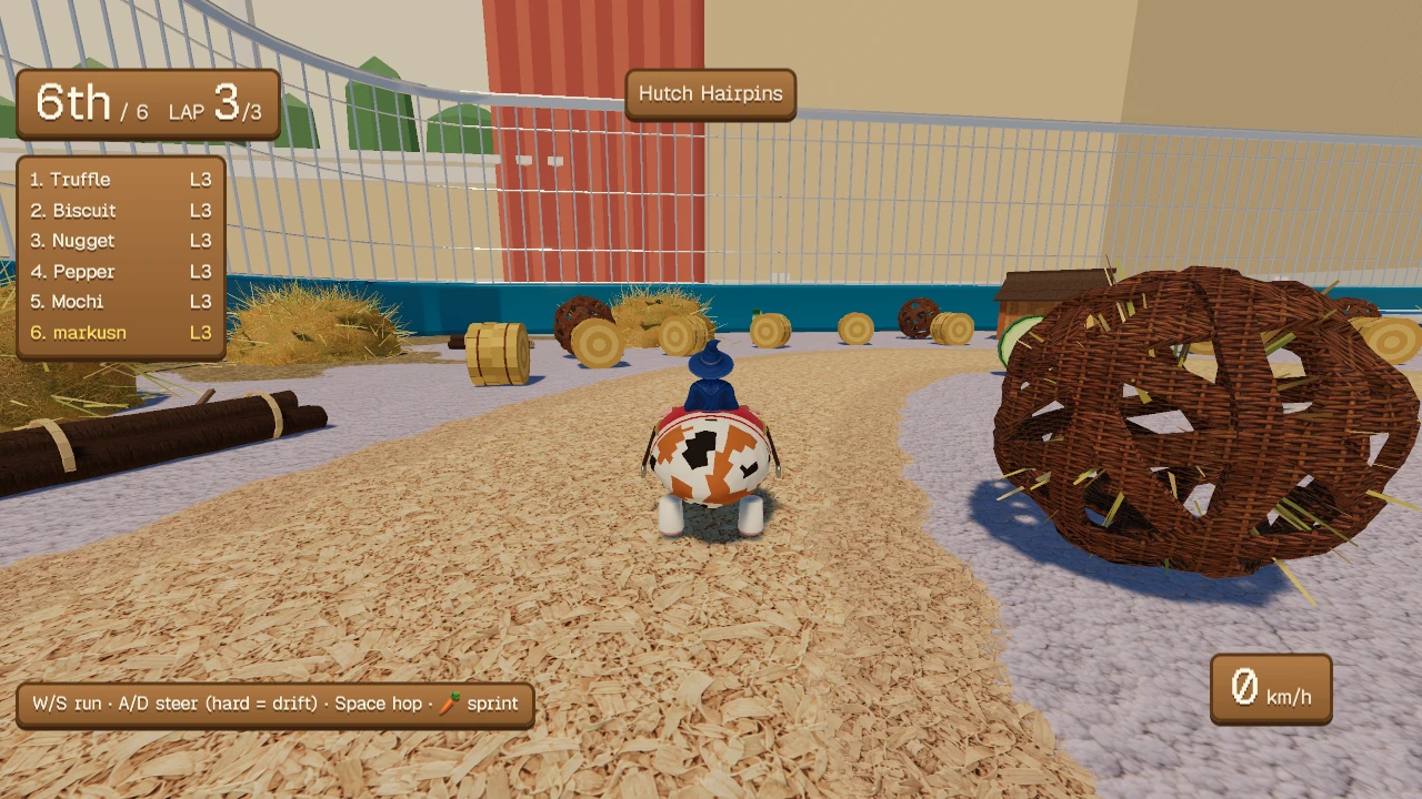 Cavy Cup: a moment in the game (2 of 2)