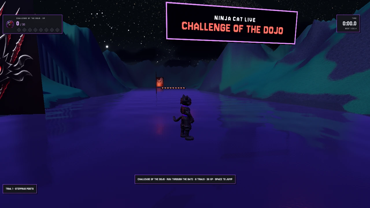 Ninja Cat Live: a moment in the game (1 of 4)