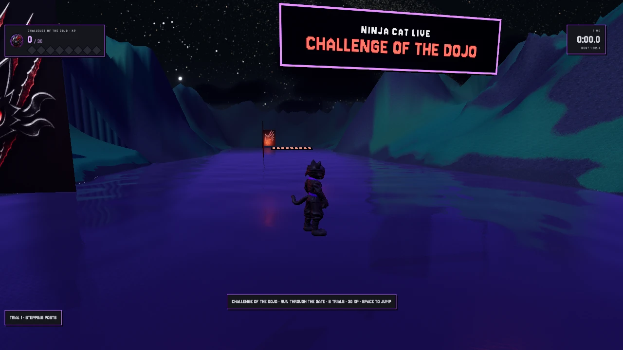 Ninja Cat Live: a moment in the game (4 of 4)