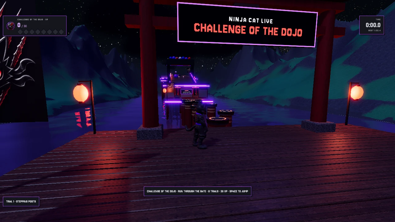 Ninja Cat Live: a moment in the game (3 of 4)