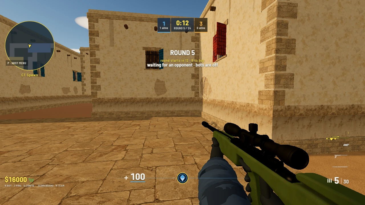 Bullet Strike - Web Counter-Strike Game: a moment in the game (1 of 1)