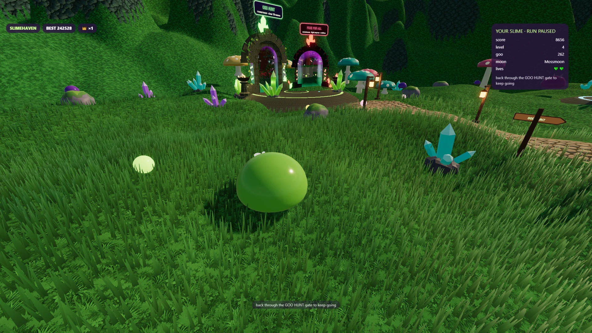 Slime Arena: a moment in the game (1 of 1)