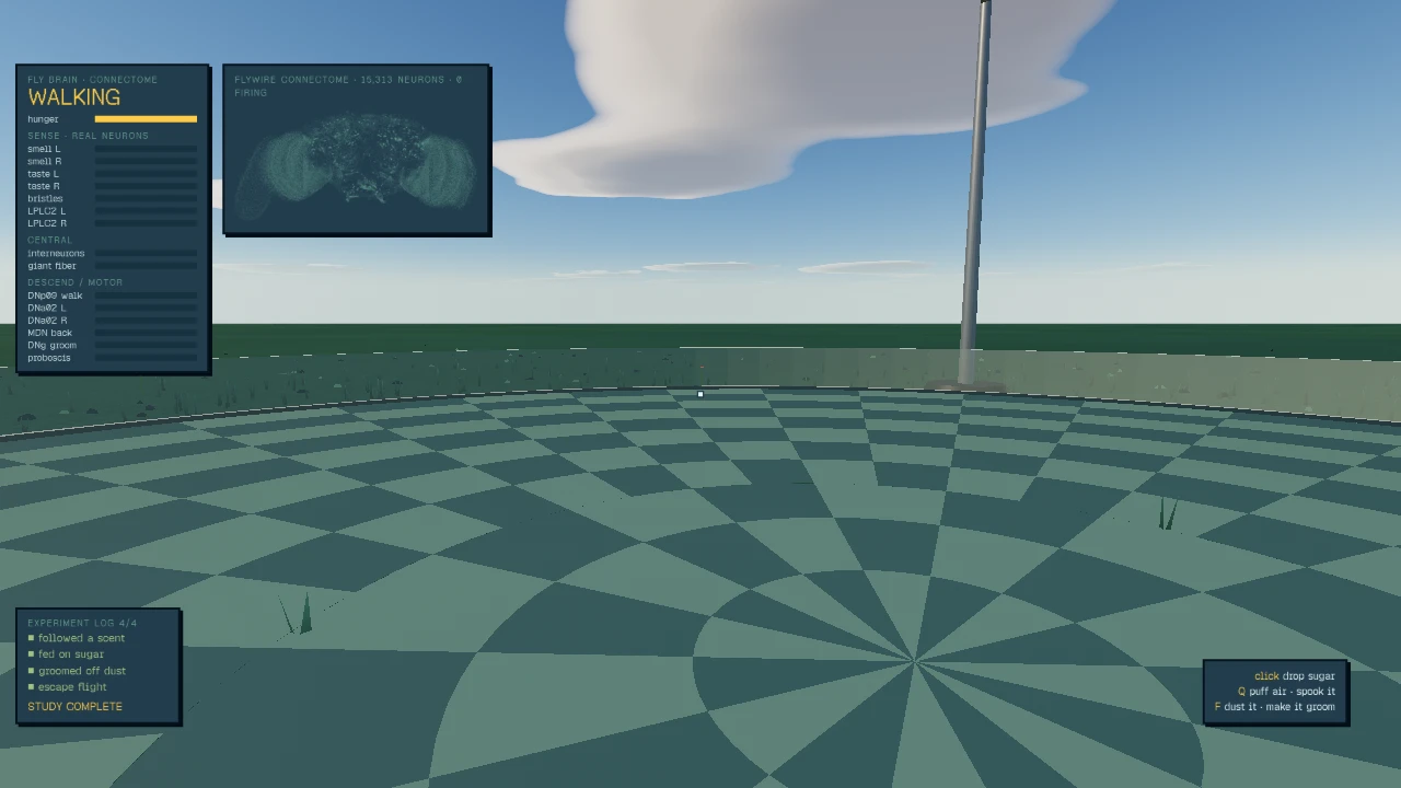 Virtual Fly: a moment in the game (1 of 1)