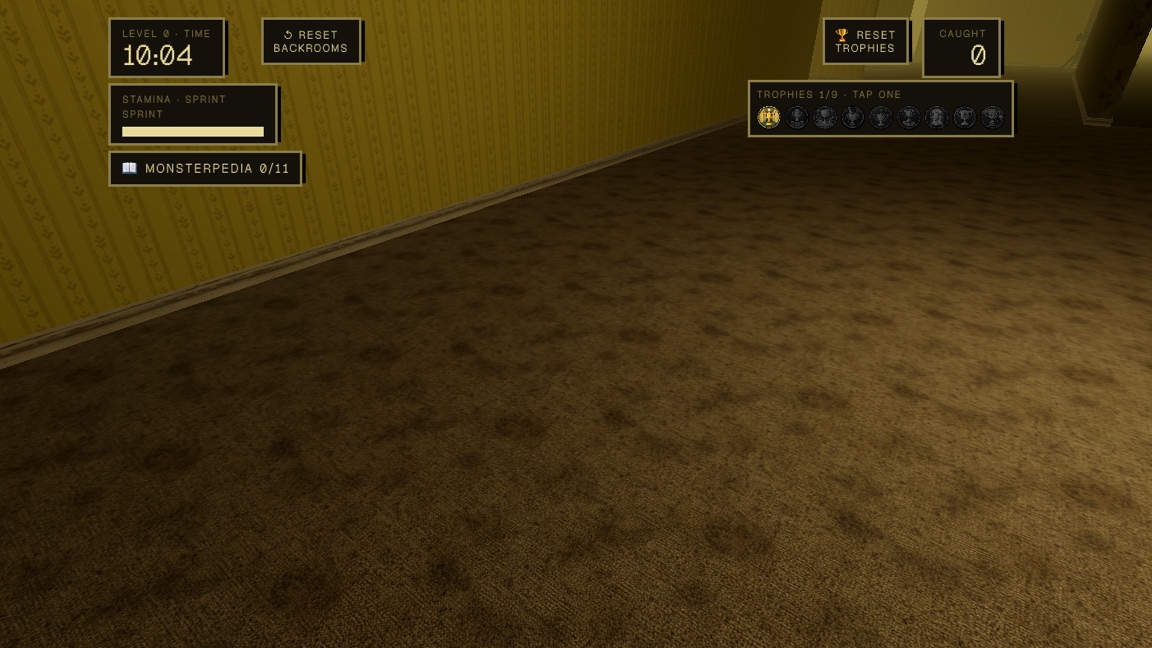 Level 0: a moment in the game (1 of 1)