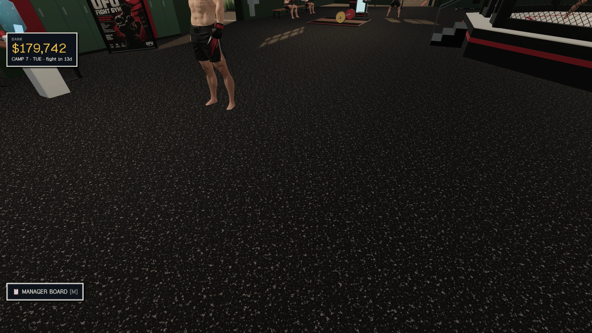 UFU Fighter Manager: a moment in the game (8 of 10)