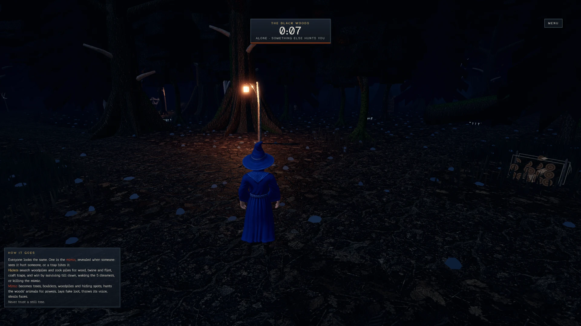 Hide and Seek: Forest Edition: a moment in the game (1 of 3)