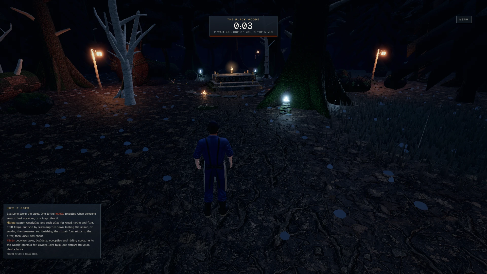 Hide and Seek: Forest Edition: a moment in the game (1 of 6)