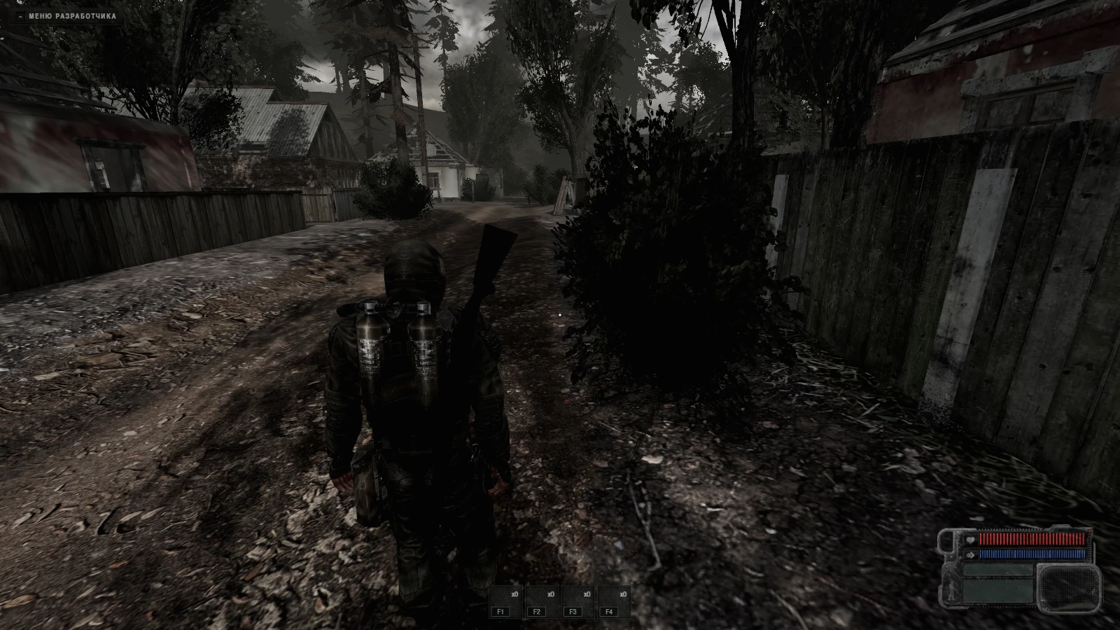 S.T.A.L.K.E.R. Alternative: a moment in the game (1 of 1)