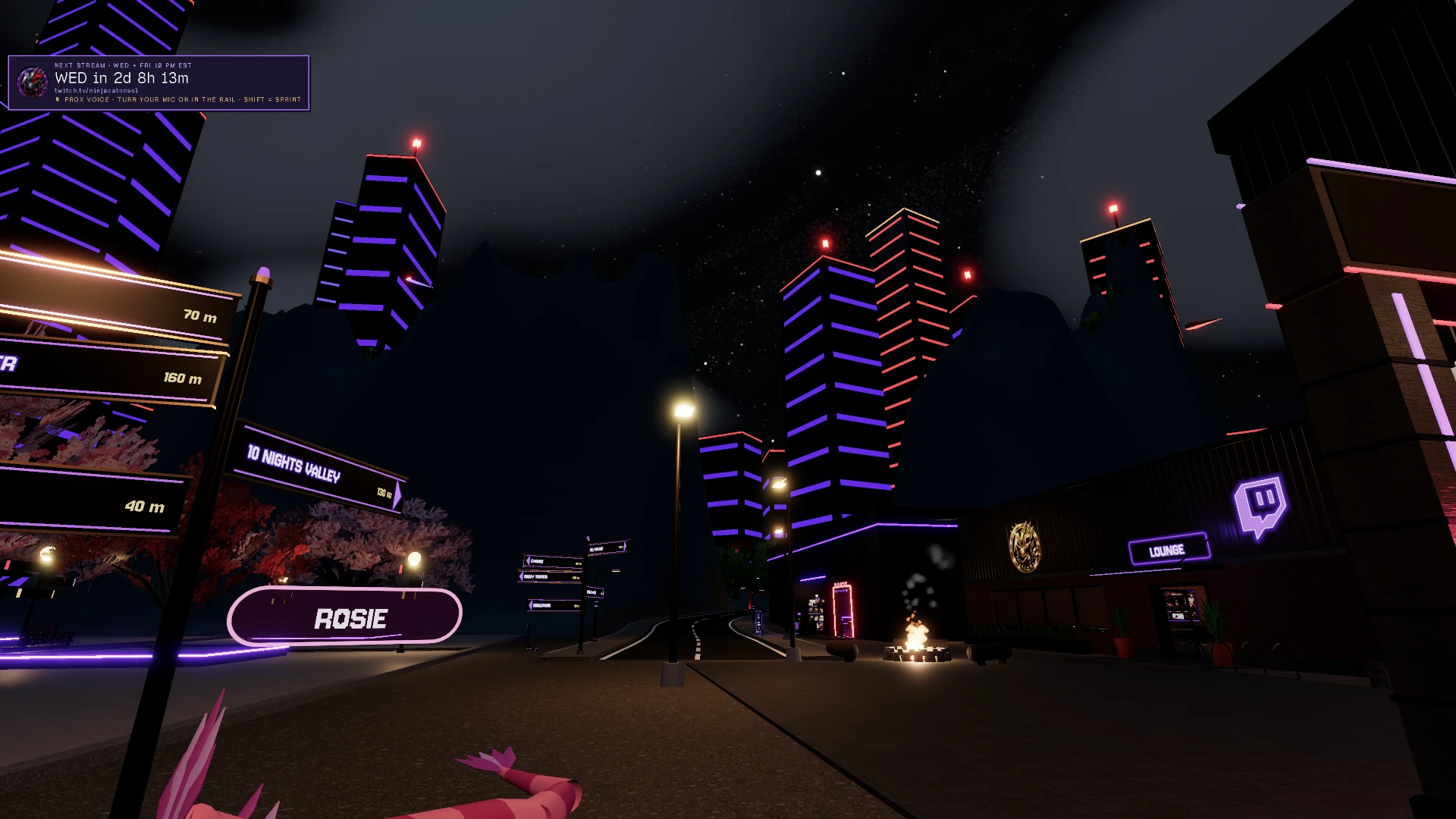 DOJO CITY: a moment in the game (1 of 2)