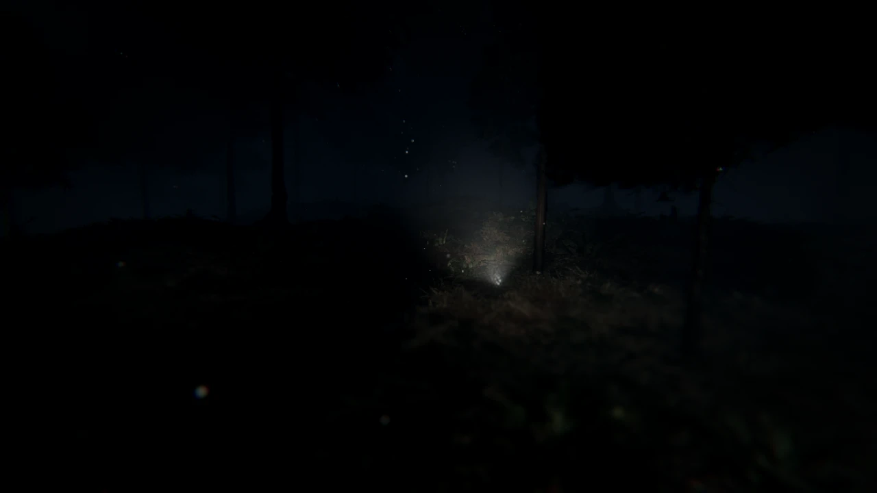 Slenderman's Forest: a moment in the game (1 of 3)