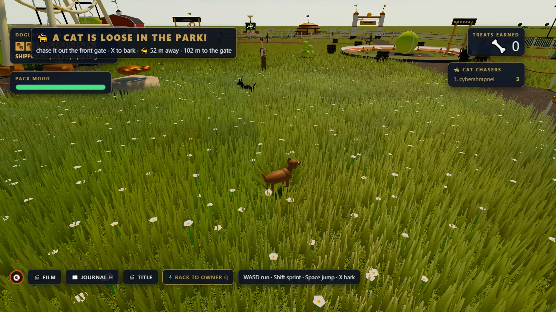 DOGLAND: Built By Dogs: a moment in the game (5 of 6)