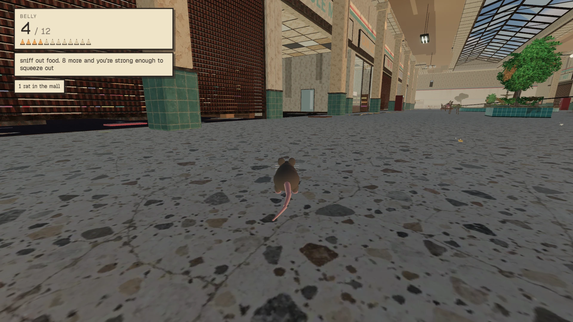 Mall Rat: a moment in the game (1 of 1)