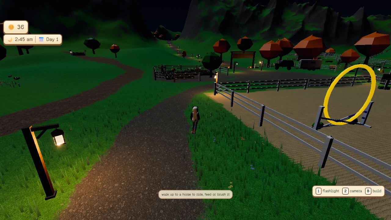 Meadowlark Horse Farm: a moment in the game (5 of 5)