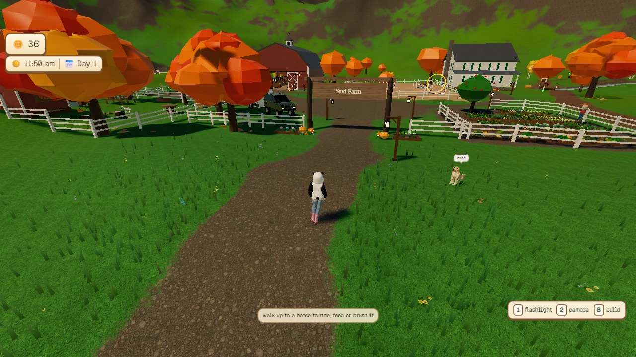 Meadowlark Horse Farm: a moment in the game (4 of 5)